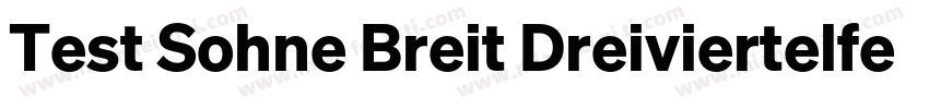 Test Sohne Breit Dreiviertelfett字体转换